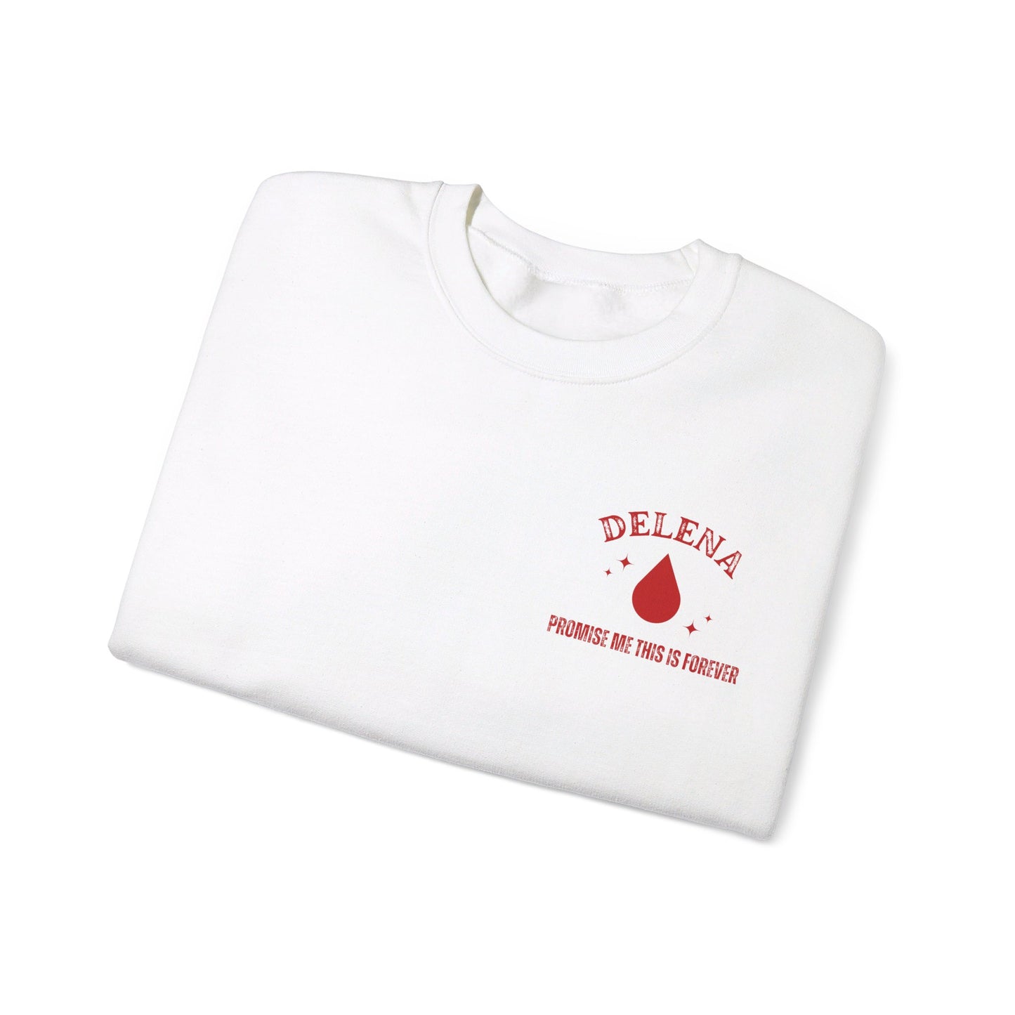 Delena Vintage Tour Crewneck